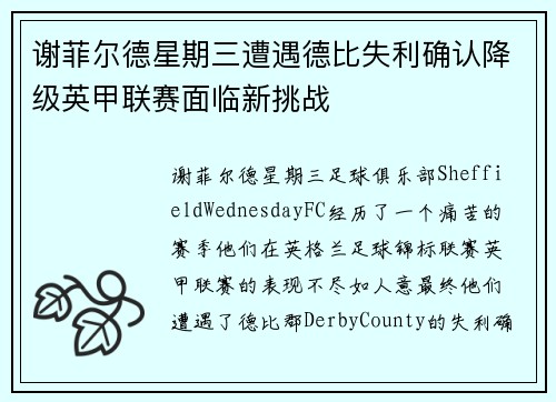 谢菲尔德星期三遭遇德比失利确认降级英甲联赛面临新挑战